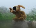 Bei Nebel werde auch ich wieder frisch