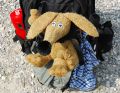 Schnuffi ist auch "on tour"