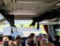 Drei Busse sind auf dem Weg nach Köln. Der Jubiläumsschal in der Heckscheibe macht die Reisegruppe kenntlich. (Bild: Daniela Zitt)